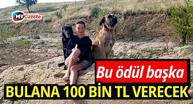 Antalya’da kayıp köpeklerini bulana 100 bin TL verecek!