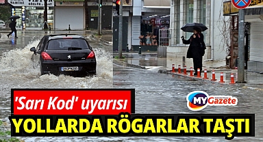 Antalya'da 'Sarı Kod' uyarısı: Rögarlar taştı, telef olmuş dana kıyıya vurdu