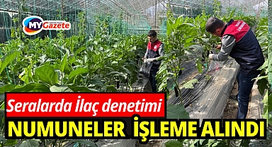 Antalya'da seralarda hasat öncesi pestisit denetimi