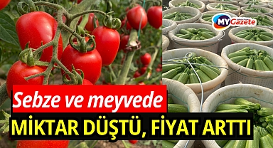 Antalya ocak ayı hal endeksini açıklandı! İşte fiyat listesi