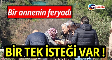 Bir annenin feryadı: Falezlere çıktı sadece bir tek isteği var!