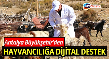 Büyükşehir Çoban Haritası Projesi ile 508 çobana destek oldu