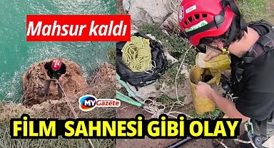Falezlerde mahsur kalan kediyi film gibi operasyonla kurtardılar