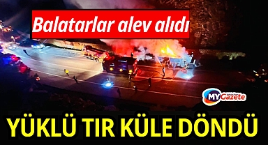 Fren balataları alev aldı, sunta yüklü tır küle döndü
