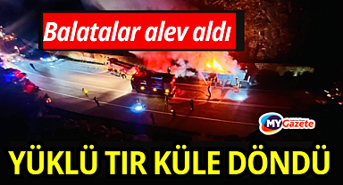 Fren balataları alev aldı, sunta yüklü tır küle döndü