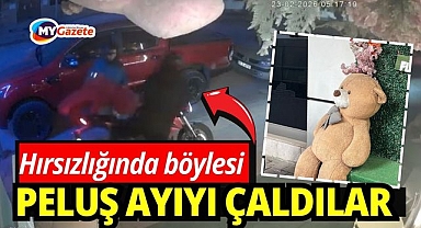 Hırsızlığında böylesi: Kapıya 100 TL bırakıp 5 bin TL'lik pelüş ayıyı çaldılar