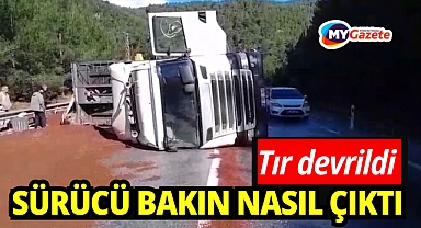 Peyzaj malzemesi yüklü tır devrildi