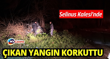 Selinus Kalesi'ndeki çalılık yangını korkuttu