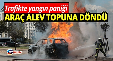 Alev topuna dönen araçtan kedisiyle birlikte son anda çıktı