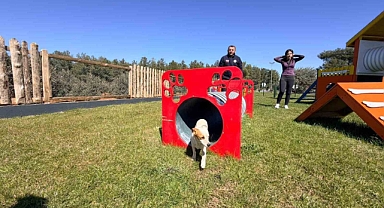 Antalya Duacı'da sevimli sokak dostları için 'Pati Park' açıldı