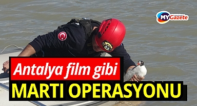Antalya itfaiyesinden film gibi martı kurtarma operasyonu
