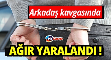 Arkadaş Kavgası Kanlı Bitti! Göğsünden Bıçaklanan Genç Ağır Yaralandı