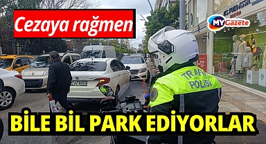 Ceza yazılacağını bile bile yasaklı alanlara park ediyorlar