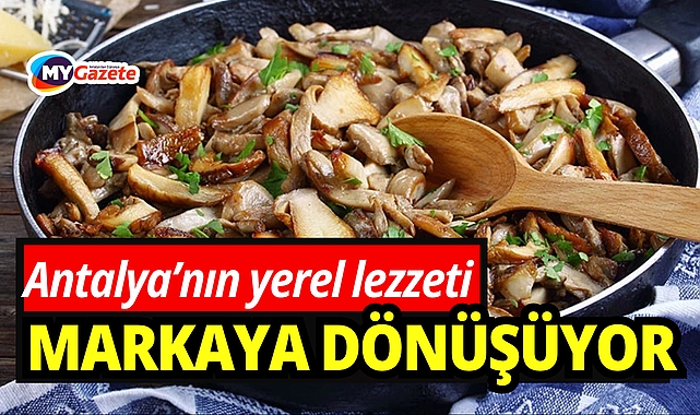 Demre’de Çıntar atağı: Yerel lezzet markaya dönüşüyor