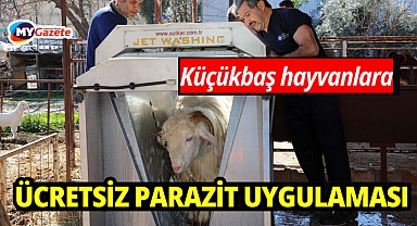 Döşemealtı'nda küçükbaş hayvanlara ücretsiz parazit uygulaması