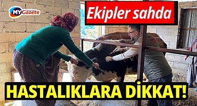 Hayvan hastalıklarına karşı seferberlik: Ekiplerinden çifte denetim