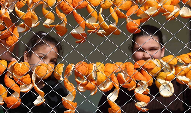 Limon ve turunç kabukları kadınların elinde değerleniyor