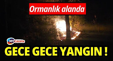 Ormanlık alanda çıkan yangın büyümeden söndürüldü