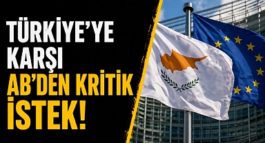 AB’de türkiye gerilimi tırmanıyor Özet