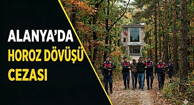 Alanya’da horoz dövüşü baskını: 11 kişiye 143 bin TL ceza