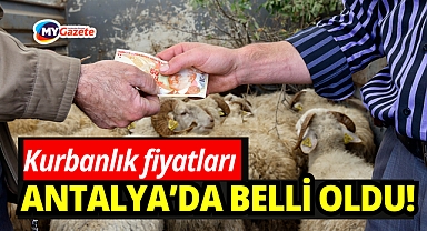 Antalya'da 2026 yılı kurbanlık fiyatları belli oldu: Küçükbaş veya büyükbaş kurbanlık ne kadar?