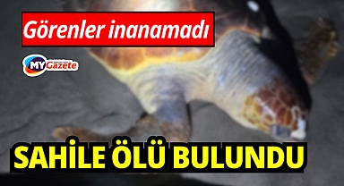 Antalya’da görenler inanamadı: sahilde ölü bulundu