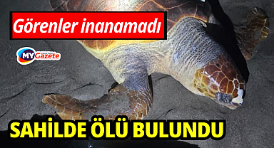 Antalya'da görenler inanamadı: sahilde ölü bulundu