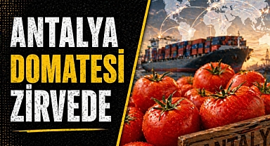ANTALYA DOMATESİ DÜNYAYI SARDI