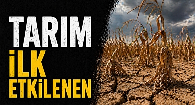 ATB Meclisi’nde kritik uyarı: 'Savaş ekonomiyi ve tarımı vuruyor'