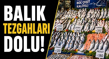 Av sezonu bitti ama balık tezgahları dolu