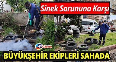 Büyükşehir'den sinek üreme alanlarında yoğun çalışma
