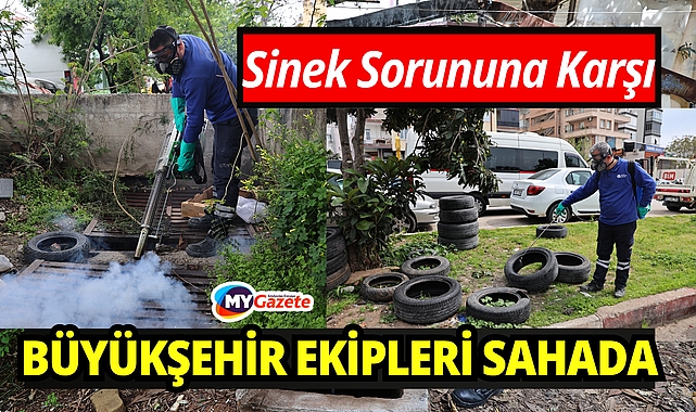 Büyükşehir'den sinek üreme alanlarında yoğun çalışma