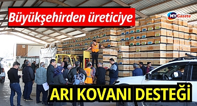 Büyükşehirden üreticiye arı kovanı desteği