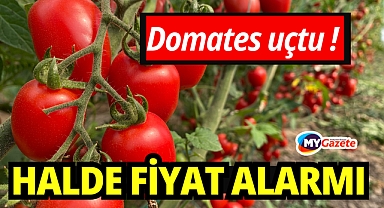 Domates uçtu, sebze takipte: Antalya halinde fiyat alarmı