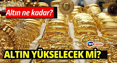 Gram ve çeyrek altın kaç TL oldu? Altın fiyatları ne kadar?