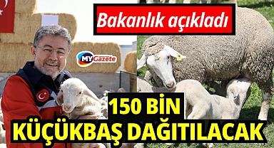 Hayvancılığa destek sürüyor: 150 bin küçükbaş için son gün 30 Nisan