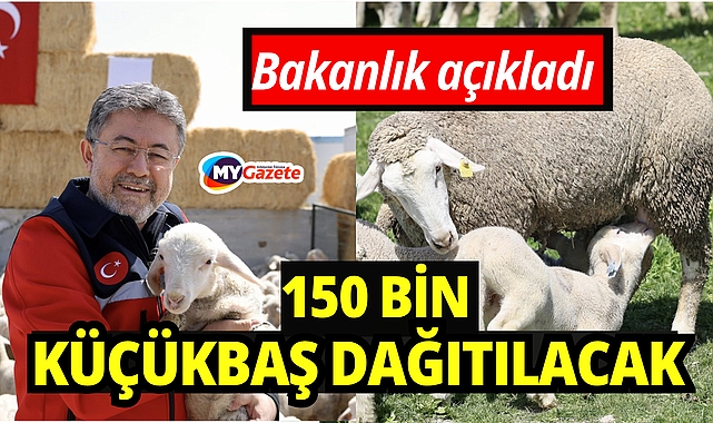 Hayvancılığa destek sürüyor: 150 bin küçükbaş için son gün 30 Nisan