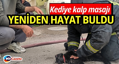 Kediye kalp masajı yaptı: Hayata yeniden döndürdü