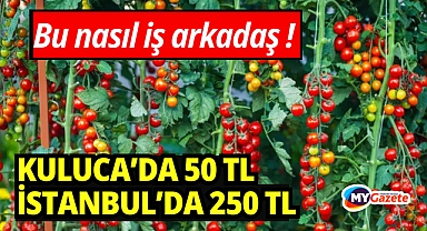 Kumluca'dan 50 TL'ye Alındı, İstanbul'da 250 TL