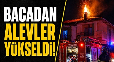 Manavgat'ta baca yangını korkuttu: İtfaiye müdahale etti
