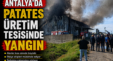 Manavgat'ta patates tesisinde yangın: Tesis küle döndü