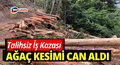 Ormanda acı son: Ağaç kesimi can aldı