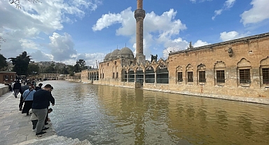 Şanlıurfa'da sağanak! Balıklıgöl'ün suyu çamura döndü