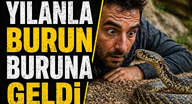 Serada ölümle burun buruna: Çiftçi yılanı böyle etkisiz hale getirdi