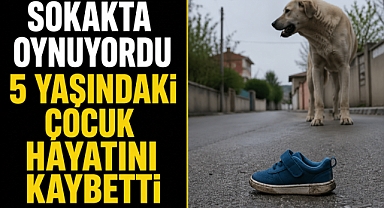 Sokakta oynarken saldırıya uğradı: 5 yaşındaki çocuk hayatını kaybetti