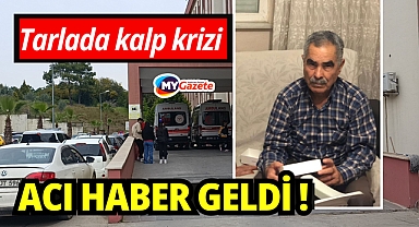 Tarlada beklerken fenalaştı: Yaşlı adam hayatını kaybetti