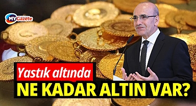 Yastık altında ne kadar altın var? Bakan Şimşek açıkladı