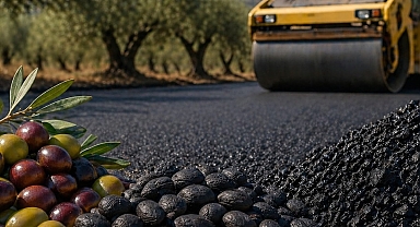 Yol yapımında artık zeytin kullanılacak: Zeytin çekirdeğinden asfalt üretimi başladı