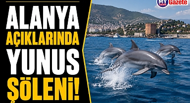 Antalya Alanya açıklarında yunus şöleni!