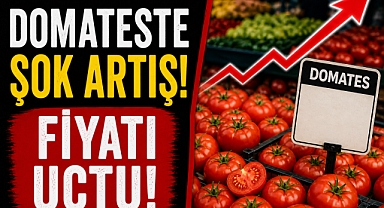 Antalya'da domateste şok artış! Miktar çakıldı, fiyat Uçtu!